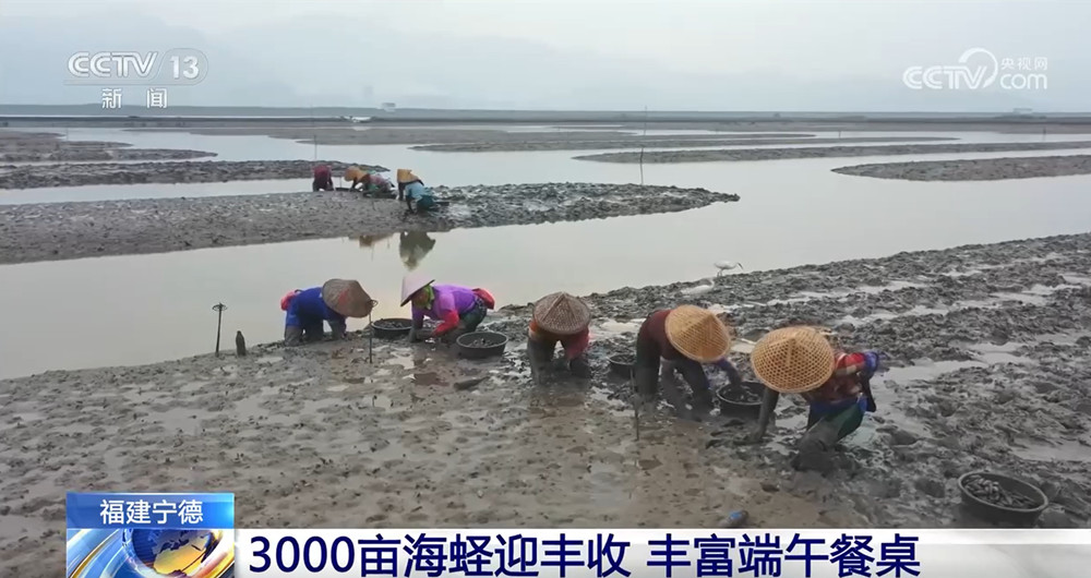 开云真人-端午临近 节前消费市场活力涌动