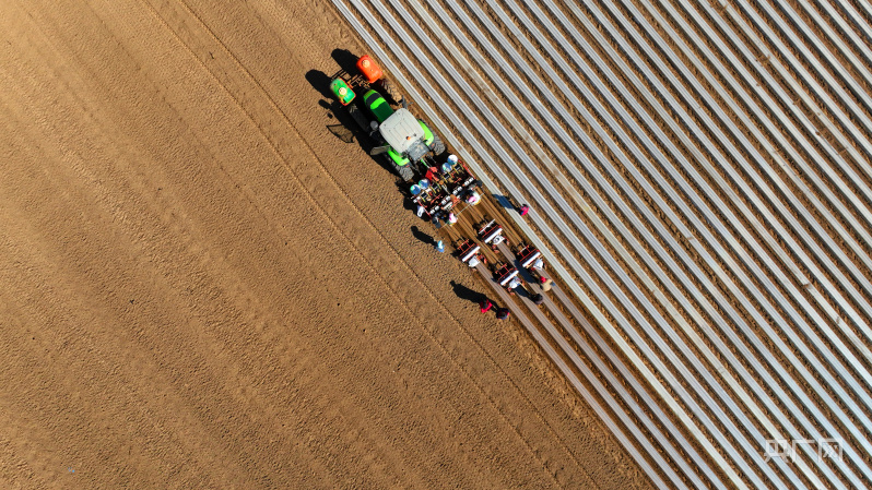 开云真人-【奋进的春天】机械化“精播”开