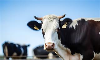 开云真人-产经资讯_国内外最新产业动态(